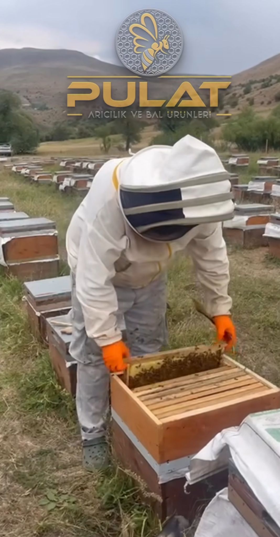 Pulat Arıcılık ve Bal Ürünleri